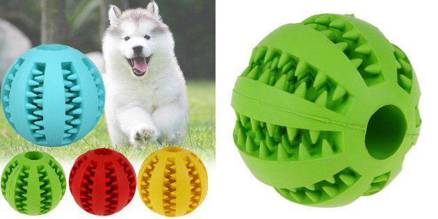 hund ball