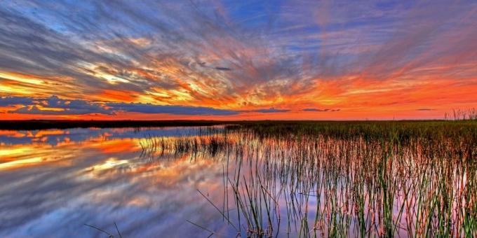 Everglades National Park, USA