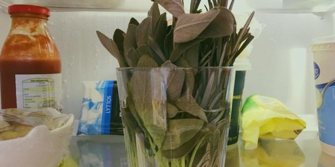 Hvordan du oppbevarer urter: kutt fra endene av bjelken og satt i et glass vann