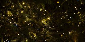 6 juletradisjoner som har kommet til oss fra hedenskapet