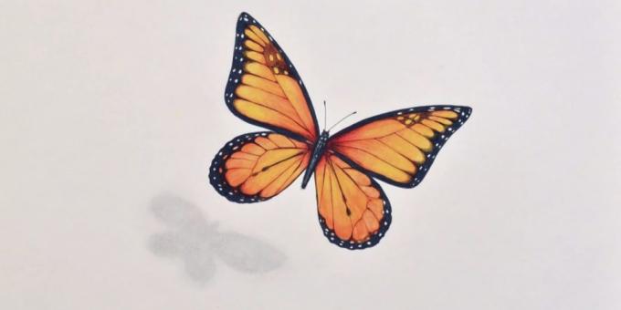 Hvordan tegne en realistisk sommerfugl markører og fargeblyanter