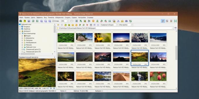 Hvordan organisere en samling av bilder: Faststone Image Viewer