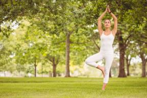 Fysikk balanse i yoga. Del 1: Alignment