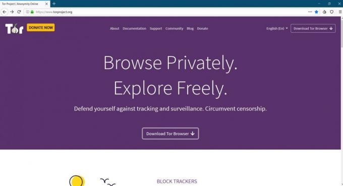 nettlesere for PC: Tor Browser