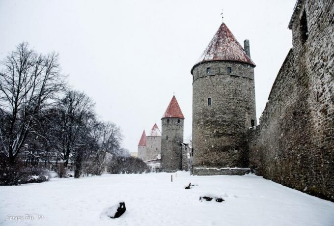 Tallinn veggen