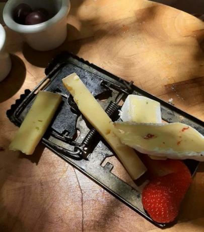 serverer ost i en musefelle