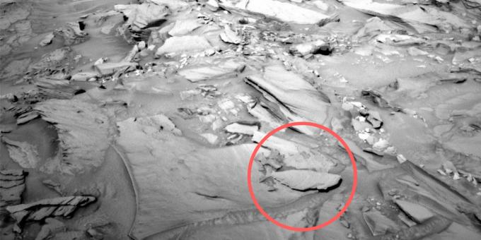 Bilder av plass: en forsteinet fisk på Mars