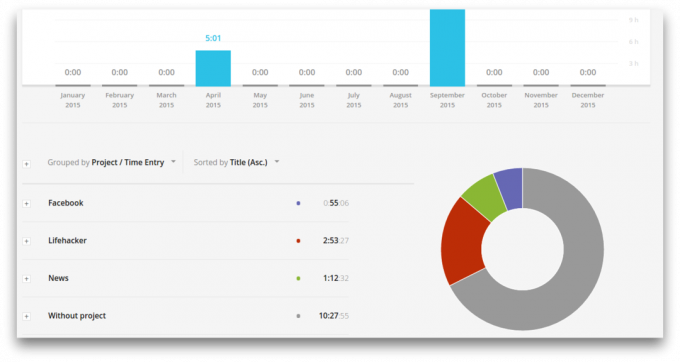 toggl rapport