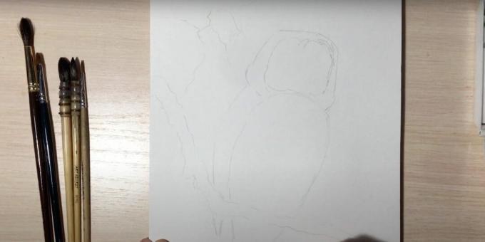 Hvordan tegne en ugle: skissere en ugles gren og kropp