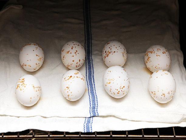 Hvordan koke egg i ovnen