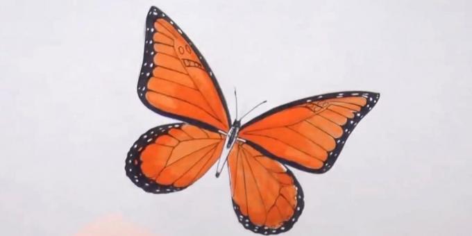 Circle torso og diversifisere butterfly mønster på vingene