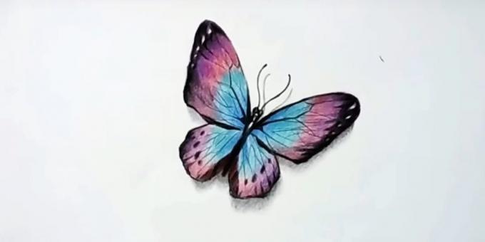 Hvordan tegne et realistisk butterfly fargeblyanter