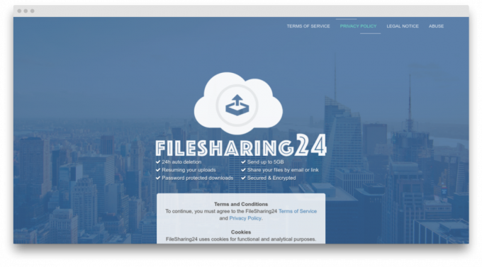 FileSharing24 skjerm