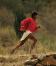 ANMELDELSE: "Born to Run" - den beste afrodisiakum for kjærligheten til løping