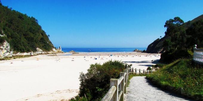 Strender Europa: Playa de la Franca