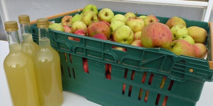 Hvordan lage eple cider hjemme: enkel oppskrift