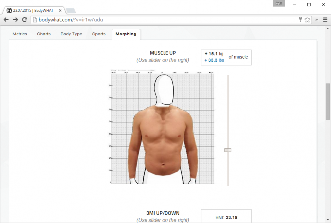 Virtual simulator til BodyWHAT