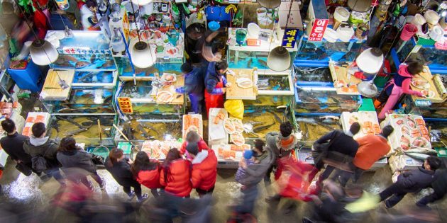 Attraksjoner i South Korea: det er nødvendig å besøke fiskemarkedet
