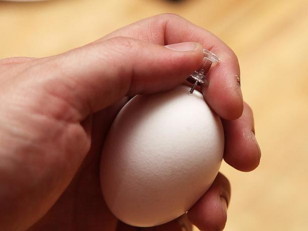 Hvordan å pierce egg
