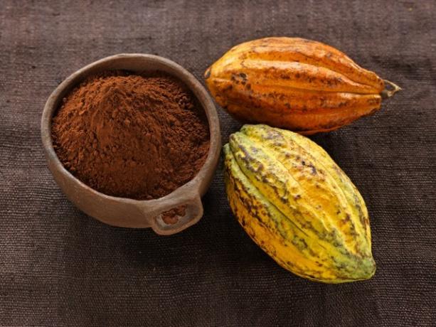 Varm sjokolade: kakao og kakaobønner 