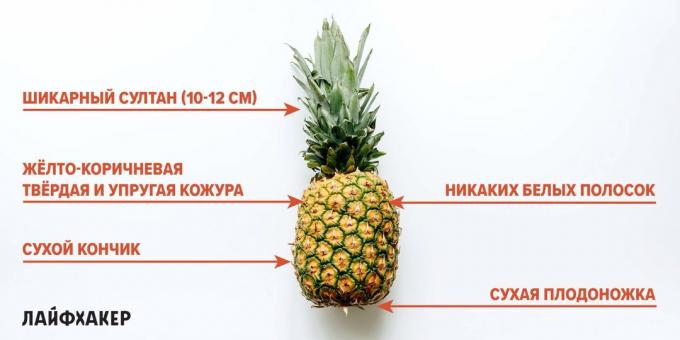 Hvordan velge en ananas: tegn på moden ananas