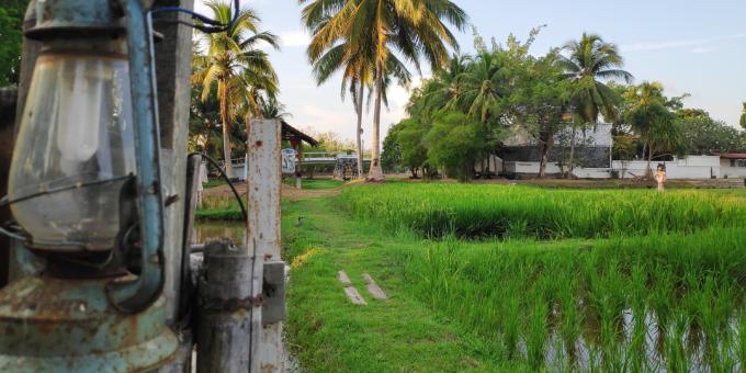 Landemerker i Langkawi: Laman Padi Rice Culture Museum