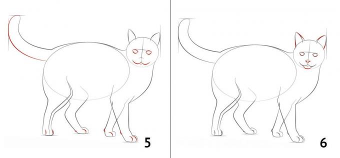 Hvordan tegne en katt